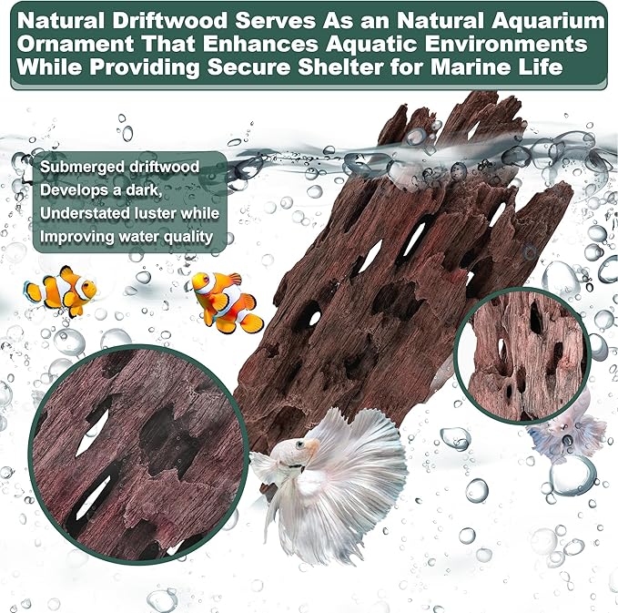 Natural Wood Driftwood for Aquarium Fish Tank Decor,Assorted Driftwood Trunk Branch for Reptile Tank Decor (SHP-XM Driftwood S(6 to10 Inch)-Pack of 2)