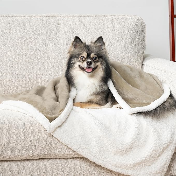 PetAmi Dog Blanket for Small Medium Dogs, Pet Bed Blanket Cat Puppy Kitten, Fleece Furniture Couch Cover Protector Sofa Car, Soft Sherpa Dog Throw Plush Reversible Washable, Mini 29x40 Taupe