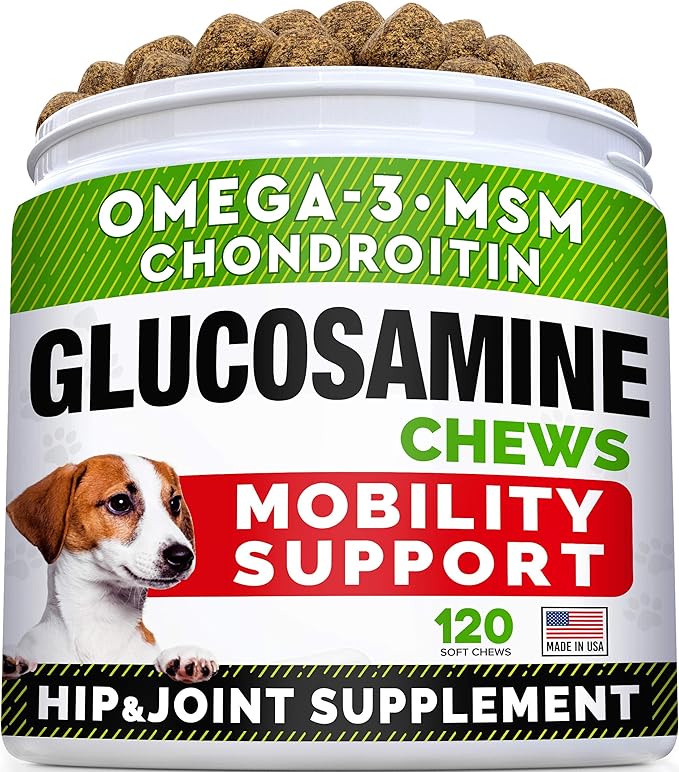 Senior Advanced Glucosamine Joint Supplement + Glucosamine Treats for Dogs Bundle - Hip & Joint Pain Relief + Advanced Mobility - Omega-3 Fish Oil, Chondroitin, MSM - Small + Large Breeds - 240 Chews