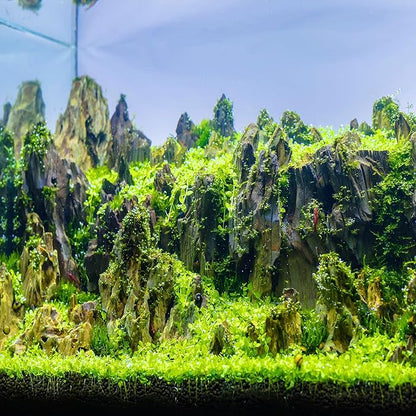 6-8 Inches Natural Dragon Stone 6 PCS Aquarium Rocks for Aquascaping, Aquarium Landscaping, Terrariums, Fish Tank Decoration, Vivariums, Paludarium, Reptile and Amphibian Enclosures