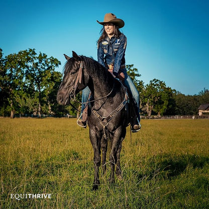 Equithrive Classic Joint Supplement Pellets with Glucosamine, Chondroitin, Hyaluronic Acid and MSM for Horses and Senior Horses, 3.3 lbs