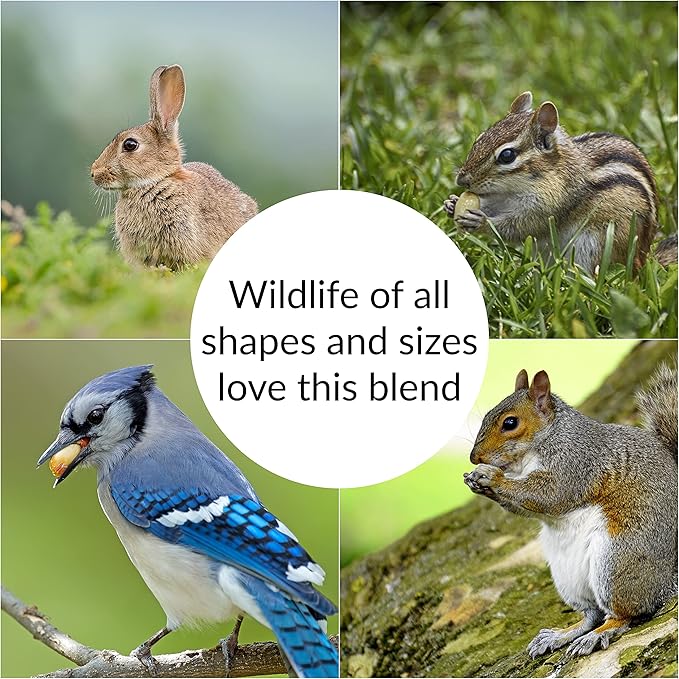 Lyric Wildlife Critter Food for Deer, Squirrels, Turkeys & Rabbits Wild Bird Seed - 10 lb Bag