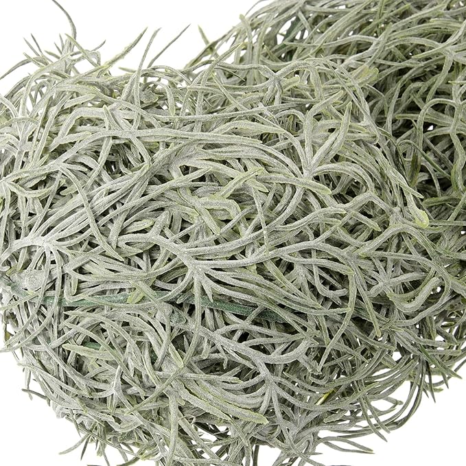 36 Inch Hanging Moss Decor - 1 Pcs Fake Moss - Artificial Plastic Spanish Dried Hanging Vine for Potted Plants Crafts Green Vines