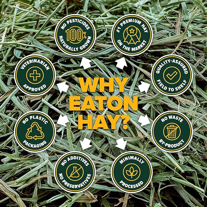 Eaton Pet and Pasture Naturally Grown, Premium, 1st Cut Blend, Western Timothy Hay Orchard Blend, Small Animal Food, Sustainable, Eco-Friendly, Farmer-Owned, 6LB-Box.