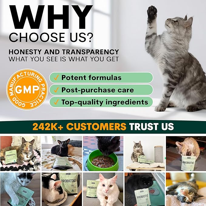 Probiotic for Cats & Kittens - Cat Probiotic Powder for Hairball Prevention, Digestive Support, Immune Health, Prebiotics, and Diarrhea Relief - Suitable for Indoor Cats & Kittens - 60 Scoops