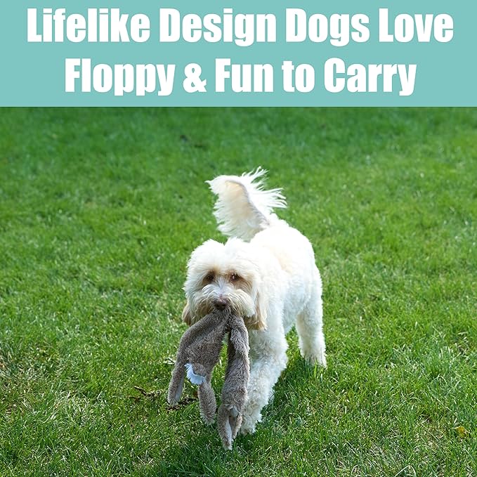 SPOT Skinneeez Rabbit 22 Inch Stuffing-Free Plush Dog Toy with Dual Squeakers – Long Interactive Chew Toy for Medium and Large Dogs – Mess-Free Play for Light & Moderate Chewers