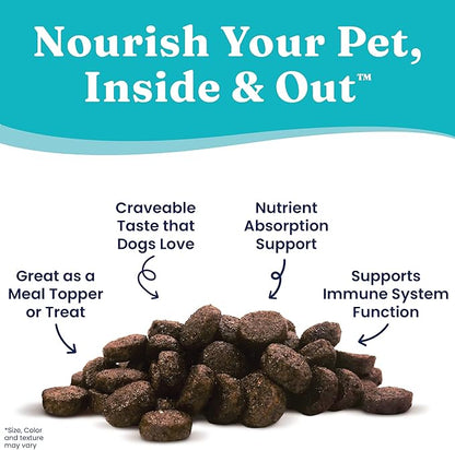 Solid Gold NutrientBoost Meal Topper for Dogs - Plasma Infused Dog Food Topper & Treats - Gut Health & Immune System Support - Grain Free Additive with Vitamins, Minerals, Protein & Amino Acids - 1 Lb