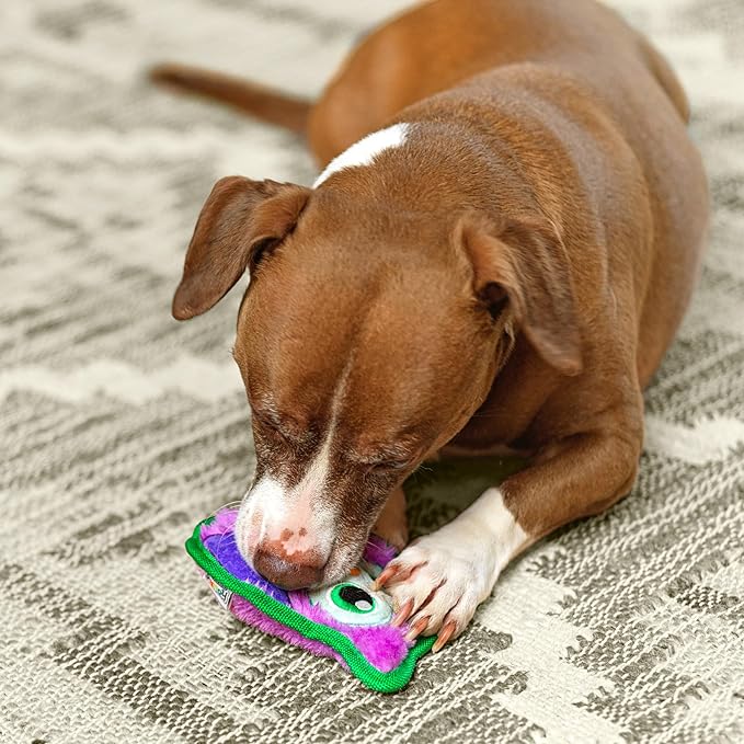 Outward Hound Durablez Minis Stuffing-Free Squeaky Plush Dog Toy for Puppies & Small Dogs - Interactive, Soft Yet Tough, No Mess, Jumbo Squeaker, Long-Lasting Play, Owl