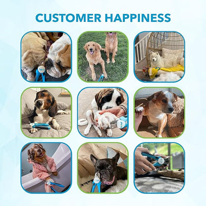 Boshel Small Dog Nail Clipper - Dog Nail Trimmer with Safety Guard, Dog Nail Clippers for Small Dogs & Cat, Razor-Sharp Dog Nail Trimmers, Puppy Toenail Cutter, Pet Nail Clippers for Dogs + Nail File