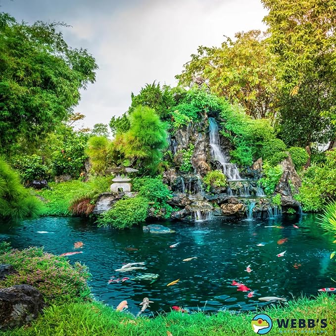 Webbs Water Gardens Water Conditioner Plus - Fish Safe, Heavy Metal Detoxifier and Dechlorinator for Freshwater and Marine Aquatics - 128 Fluid Ounces