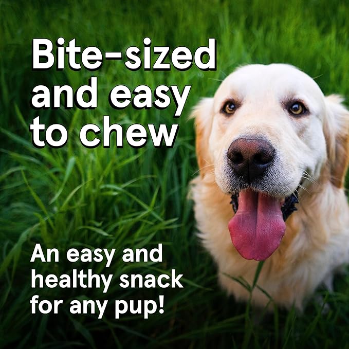 Real Meat Dog Treats - Three 12oz Bag of Bite-Sized Air-Dried Venison & Chicken Jerky for Dogs - Grain-Free Jerky Dog Treats With 95% Human-Grade, Free-Range Venison & Chicken - All-Natural Dog Treats