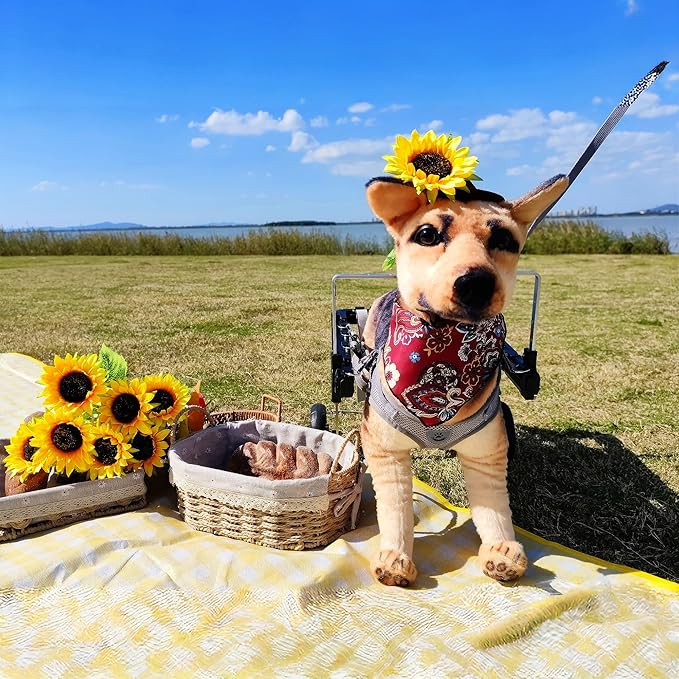 Dog Wheelchair,Lightweight Aluminum Frame with Handle,Extended Leg Straps,Includes Leash,Fits Pugs,French Bulldogs,and Schnauzers（Middle Size）/Beagle,Corgi,and Cocker Spaniel（Large Size）