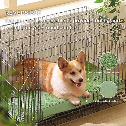 Bedsure Large Dog Bed for Large Dogs - Big Orthopedic Waterproof Dog Beds with Removable Washable Cover, Egg Crate Foam Pet Bed Mat Green