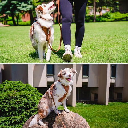 Dog Harness and Leash Set | BearBone No Pull Dog Harness and Waterproof Dog Collar and Leash Set | Heavy Duty Dog Harness, Leash and Collar | Small Dog Harness and Leash Set (Brown, Small)