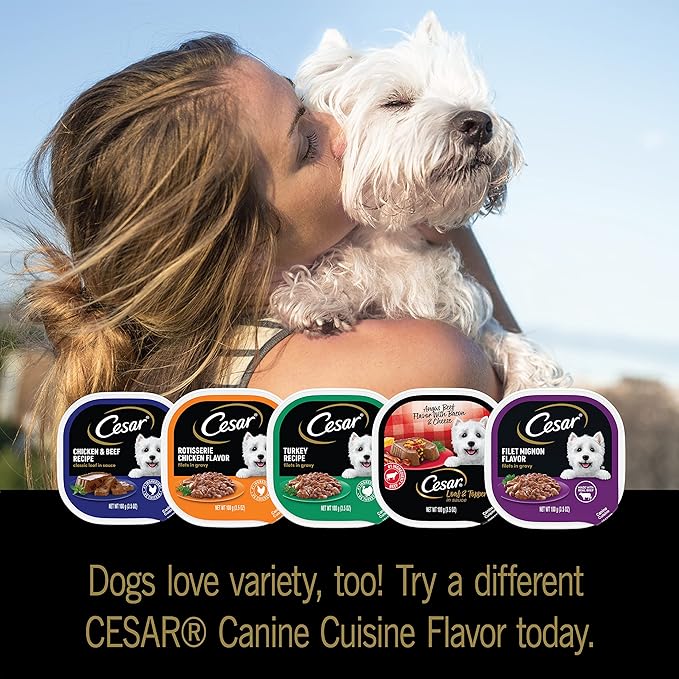 Cesar Wet Dog Food Loaf in Sauce Rotisserie Chicken, Filet Mignon, Angus Beef, and Ham & Egg Flavors Variety Pack, 3.5 oz. Easy Peel Trays (24 Count, Pack of 1)
