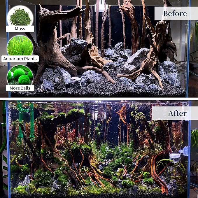 majoywoo Natural Coral Driftwood for Aquarium Decor Fish Tank Decorations, Assorted Driftwood Branch 6-10" 3 Pcs, Reptile Decor