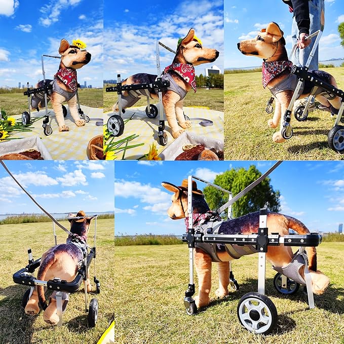Dog Wheelchair,Lightweight Aluminum Frame with Handle,Extended Leg Straps,Includes Leash,Fits Pugs,French Bulldogs,and Schnauzersï¼_iddle Sizeï¼/Beagle,Corgi,and Cocker Spanielï¼_arge Sizeï¼