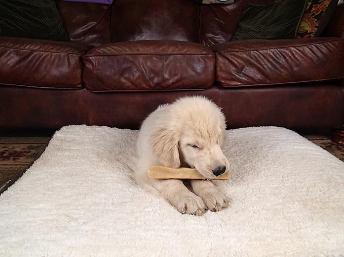 Yak Snak Dog Chews - All Natural Hard Cheese Himalayan Dog Treats - Long Lasting Dog Chews, Made from Yak Milk, Small, Medium, Large & Extra Large Sizes (Medium 4-Pack)