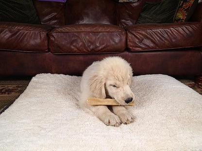 Yak Snak Dog Chews - All Natural Hard Cheese Himalayan Dog Treats - Long Lasting Dog Chews, Made from Yak Milk, Small, Medium, Large & Extra Large Sizes (Medium 4-Pack)