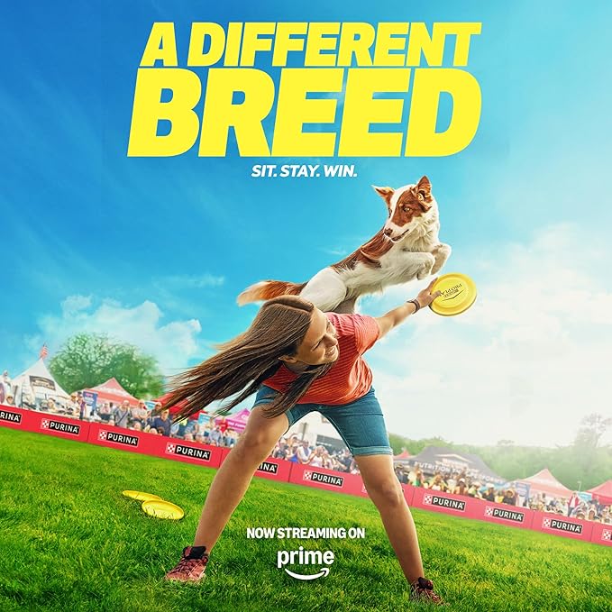 Purina Pro Plan Small Breed Dog Food With Probiotics for Dogs, Shredded Blend Chicken & Rice Formula - 6 lb. Bag