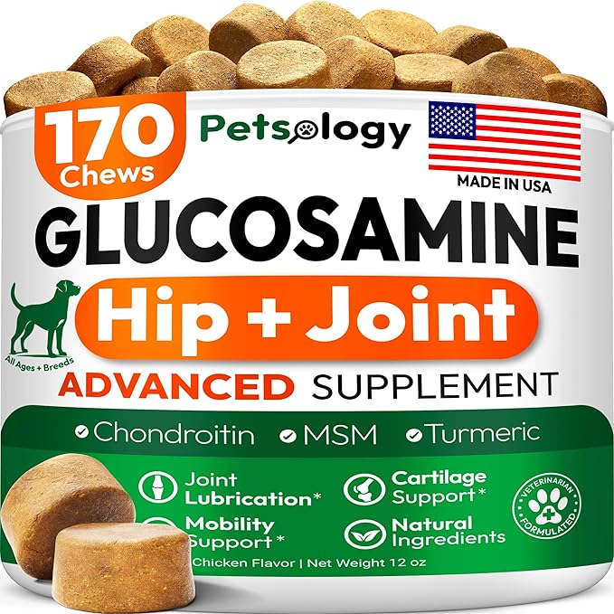 Glucosamine for Dogs - Hip and Joint Supplement for Dogs - 170 Mobility Chews - Glucosamine Chondroitin - MSM - Turmeric - Joint Pain Relief - Advanced Support for Dog Health - Made in USA