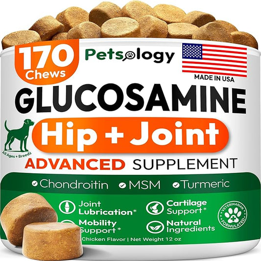 Glucosamine for Dogs - Hip and Joint Supplement for Dogs - 170 Mobility Chews - Glucosamine Chondroitin - MSM - Turmeric - Joint Pain Relief - Advanced Support for Dog Health - Made in USA