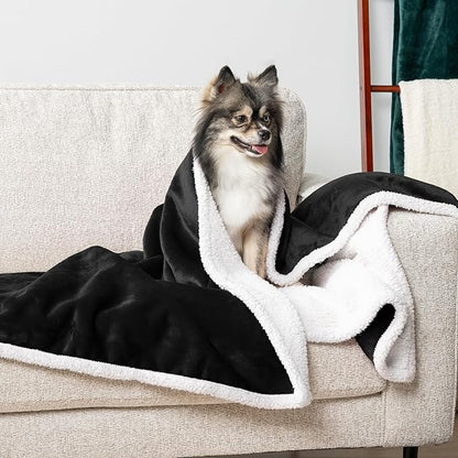 PetAmi Waterproof Dog Blanket for Small Medium Dog, Pet Puppy Blanket Couch Cover Protection, Sherpa Fleece Cat Blanket Washable Throw Couch Sofa Bed Furniture Protector Reversible Soft 29x40 Black