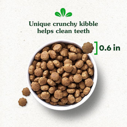 Greenies Smart Essentials Large Breed Adult High Protein Dry Dog Food Real Chicken & Rice Recipe, 30 lb. Bag