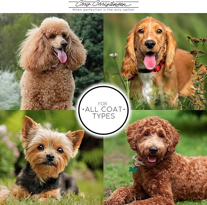 Chris Christensen 20 mm Oblong Pin Dog Brush, Original Series, Groom Like a Professional, Stainless Steel Pins, Lightweight Beech Wood Body, Ground and Polished Tips