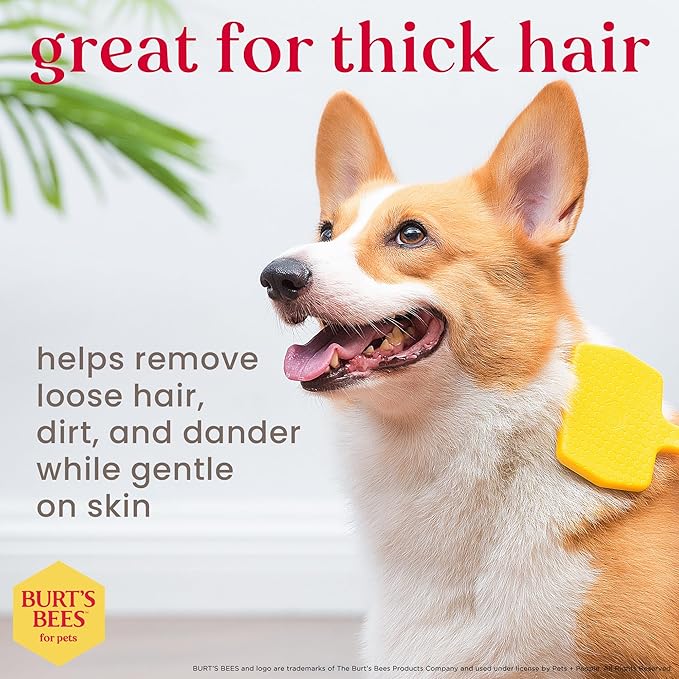 Burt_ Bees for Pets Small Slicker Brush for Dogs with Thick or Curly Hair with Handle Made from Recycled Plastics Collected from Coastal Communities | De-Shedding Dog Brush Removes Knots and Matting