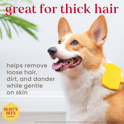 Burt_ Bees for Pets Small Slicker Brush for Dogs with Thick or Curly Hair with Handle Made from Recycled Plastics Collected from Coastal Communities | De-Shedding Dog Brush Removes Knots and Matting