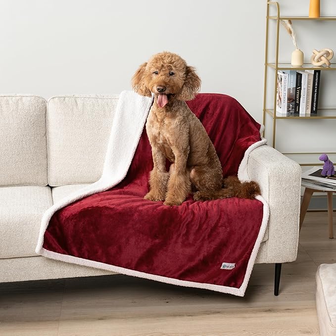 PetAmi Waterproof Dog Blanket For Small Medium Dog, Pet Puppy Blanket Couch Cover Protection, Sherpa Fleece Cat Blanket Washable Throw Couch Sofa Bed Furniture Protector Reversible Soft 29x40 Wine Red