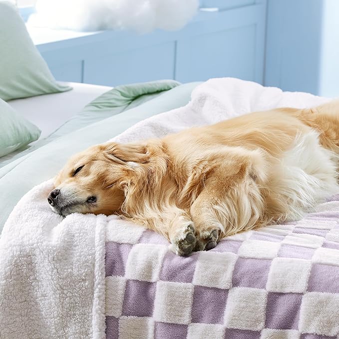 Lesure Waterproof Dog Blanket for Large Dogs - Washable Double Sided Dog Blankets with Warm Jacquard Shag and Soft Sherpa Fleece, Pet Cat Blanket for King Bed Protection, 3D Textured Checks, Purple