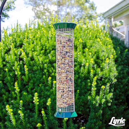 Lyric Fruit and Nut Wild Bird Seed - High Energy Wild Bird Food Mix - Attracts Woodpeckers, Chickadees & Other Songbirds - 20 lb bag