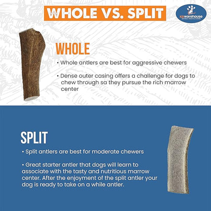 Elk Antlers for Dogs - Made in USA, Natural, Long-Lasting Dog Antler Chews - Split Antlers for Aggressive Chewers - Deer Antler Chew Bones for Small, Medium, Large & Extra Big Dogs