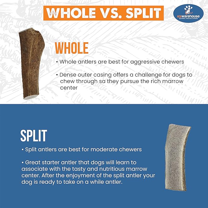 Elk Antlers for Dogs - Dog Antlers for Aggressive Chewers - USA Sourced Elk Antler for Dogs to Promote Oral Health - Long Lasting Antler Chews for Small, Medium, Large & XLarge Dogs