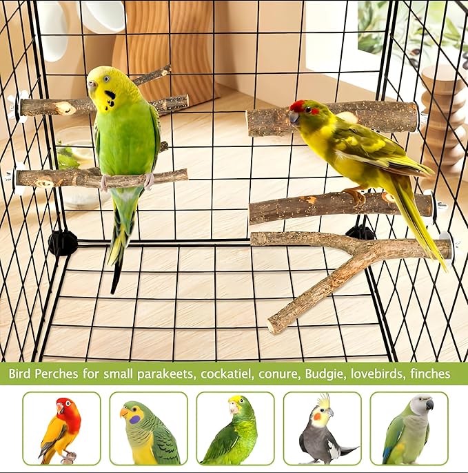 Natural Wood Bird Perches for Cage, Parrot Perch Stand & Platform, Bird Cage Accessories for Parakeets, Cockatiels, Conures, Lovebirds (Brown, Essential Perch Bundle - 5PCS)