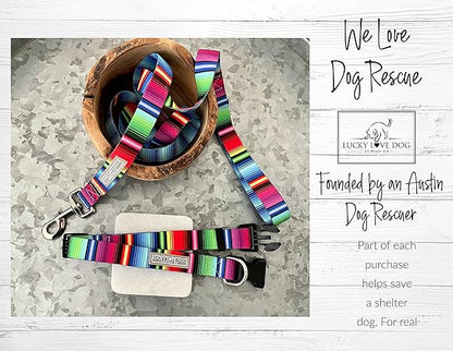 Lucky Love Dog Collars, Rainbow Striped Dog Collar for Medium Dogs, Vivid Pattern Girl or Boy Dog Collars, Nacho, Medium