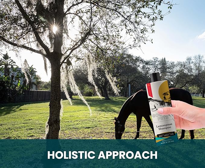 Holistic, Natural and Clean Pet Care Lemongrass Shampoo: Veterinarian Recommended - Hydrate Your Pet_ Coat With Our Hypoallergenic Shampoo For Dogs, Cats and Horses - Made in USA - 16 oz