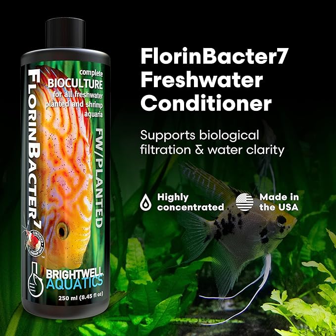 Brightwell Aquatics FlorinBacter7 Freshwater Aquarium Conditioner | Supports Biological Filtration | Removes Ammonia, Nitrite & Nitrate | Improves Water Clarity, 20L