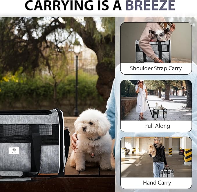 Pet Carrier with Wheels by Birch & Key – Grey Color - Airline Approved Rolling Pet Carrier – Soft Dog & Cat Travel Carrier - Small Dog Carrier – Removable Wheels - 17.5” x 12” x 12”