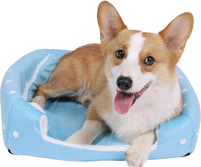 Spring Fever Hamster Guinea Pig Rabbit Dog Cat Chinchilla Hedgehog Bird Small Animal Pet Bed House Hideout Cage Accessorie A Blue XL (18.9 * 18.9 inch)