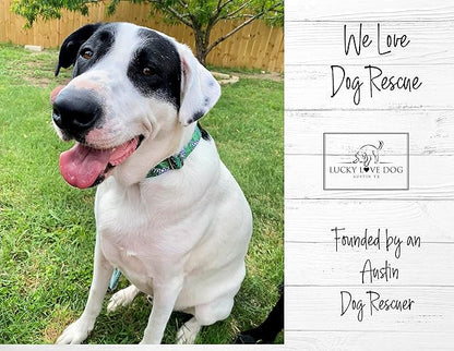 Lucky Love Dog Collar, Beautiful & Vivid Pattern X-Small Boy Dog Collars, Easy On & Off Clasp Accessory (Blue Laguna, XS)