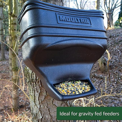 Lyric Wildlife Critter Food for Deer, Squirrels, Turkeys & Rabbits Wild Bird Seed - 10 lb Bag