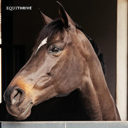 Equithrive Original Joint Supplement Powder with Resveratrol and Hyaluronic Acid for Horses, Equine Care, Molasses Flavor, 8 lbs