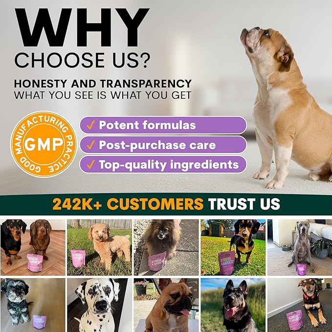 Stress and Anxiety Supplement for Dogs - Calming Dog Powder Supplement - Decreases Stress, Calms Fear & Anxiety, Eases Aggression & Insomnia, Relaxes Body and Mind - Beef Flavour - 3.2oz - 45 Scoops