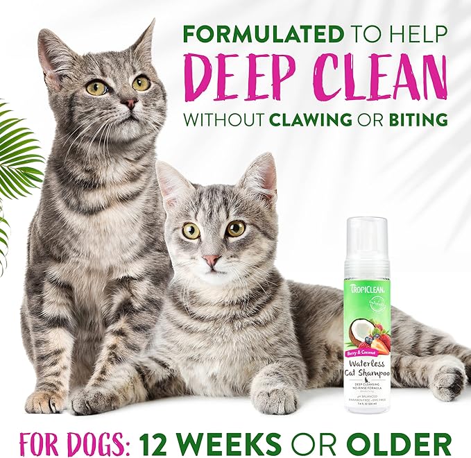 TropiClean Berry & Coconut Waterless Cat Shampoo | Deep Cleansing Dry Shampoo for Cats | Natural Cat Shampoo Derived from Natural Ingredients | Made in the USA | 7.4 oz.