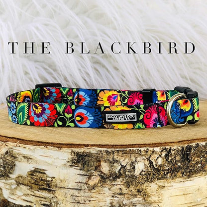 Lucky Love Dog Collars, Vivid Floral Dog Collar, Cute Dog Collar for X-Large Female Dogs, Spring & Summer Themed Flower Print, Blackbird, Extra Large