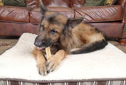 Himalayan Yak Snak Dog Chew - Assorted Size 3 Pack - Hard Cheese Snack Chews for Your Dog or Puppy Made from Yak Milk - All Natural - No Preservatives - Healthy - Limited Ingredients (Assorted 3-Pack)