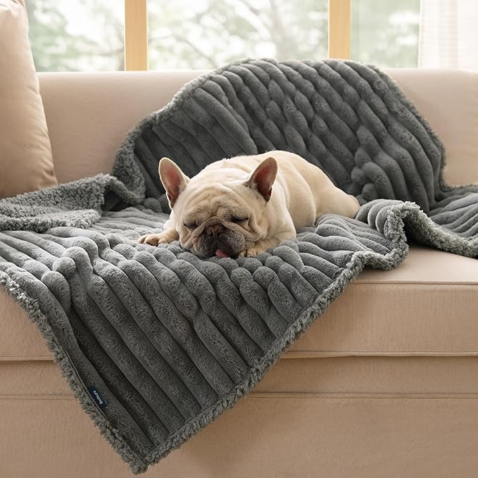 Bedsure Waterproof Dog Blankets for Medium Dogs - Soft Puppy Cat Blanket Corduroy Fleece Washable, Cozy Calming Reversible Furniture Protection for Pet Kitten Doggy,30"x40", Warm Grey
